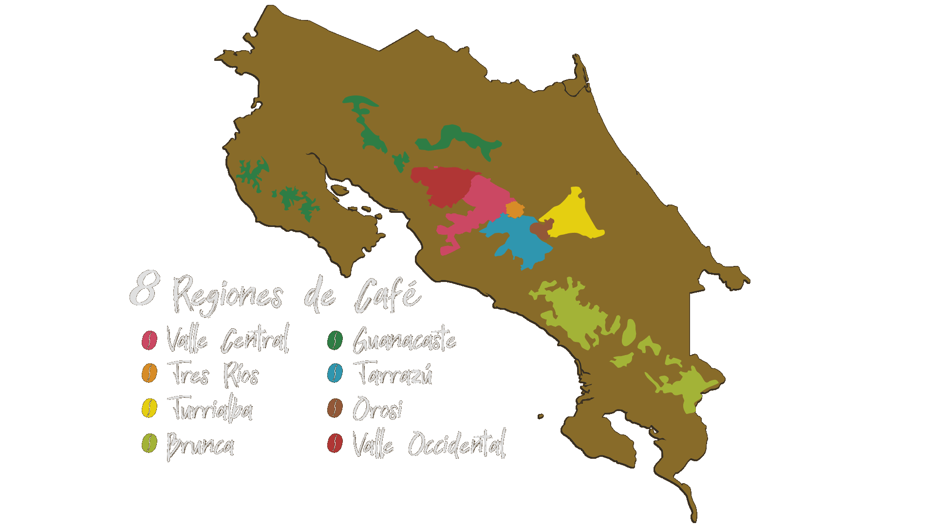 8 Regiones de Café de Costa Rica